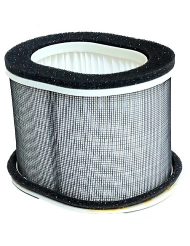 Filtro de aire 3GM-14451-00