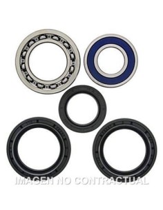 Kit de rodamientos rueda All Balls 25-1139
