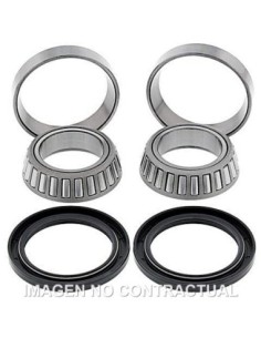 Kit de rodamientos rueda All Balls 25-1151