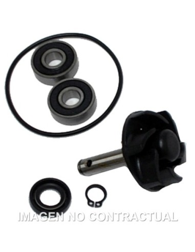 Kit Reparación Bomba De Agua Motor Minarelli 50