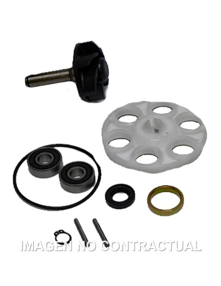 Kit Reparación Bomba De Agua Minarelli completo