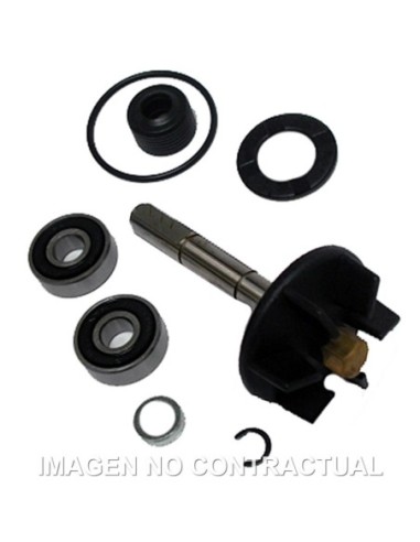 Kit Reparación Bomba De Agua Piaggio 50