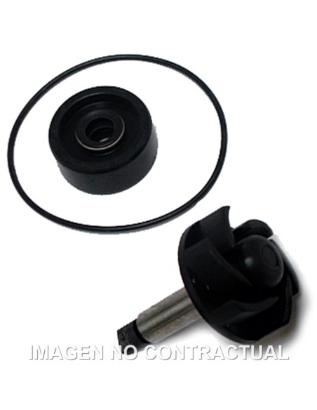 Kit Reparación Bomba De Agua Yamaha Majesty 125