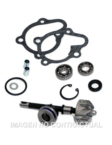 Kit Reparación Bomba De Agua Kymco B&W 125