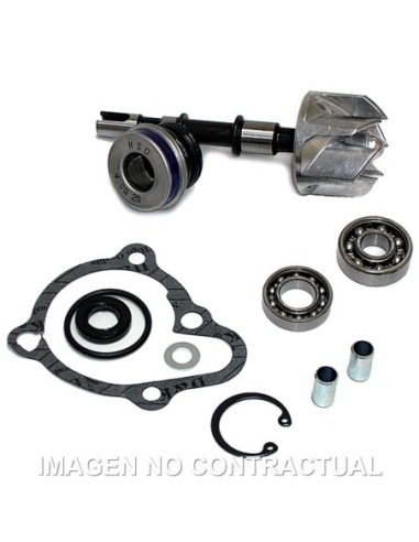 Kit Reparación Bomba De Agua Kymco B&W 250
