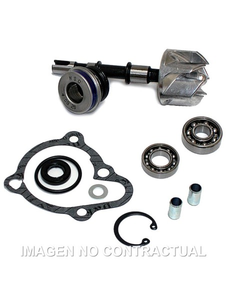 Kit Reparación Bomba De Agua Kymco B&W 250