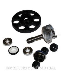 Kit Reparación Bomba De Agua Aprilia SR 50 Ditech