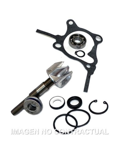 Kit Reparación Bomba De Agua Honda Foresight 250