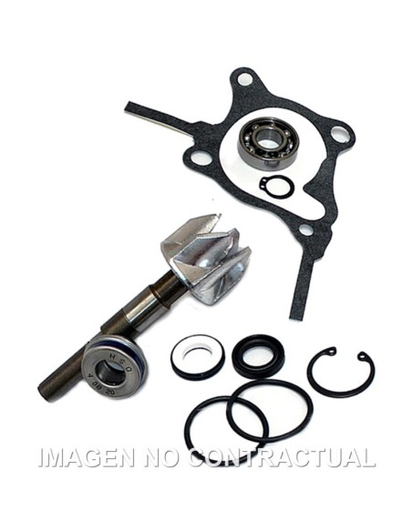 Kit Reparación Bomba De Agua Honda Foresight 250