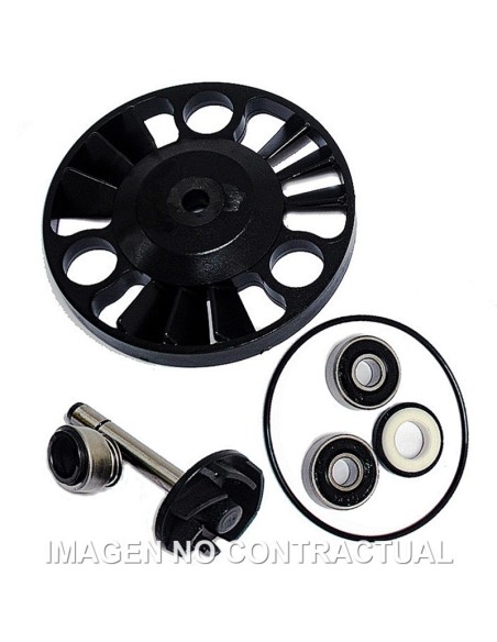 Kit Reparación Bomba De Agua Piaggio X9 180/200
