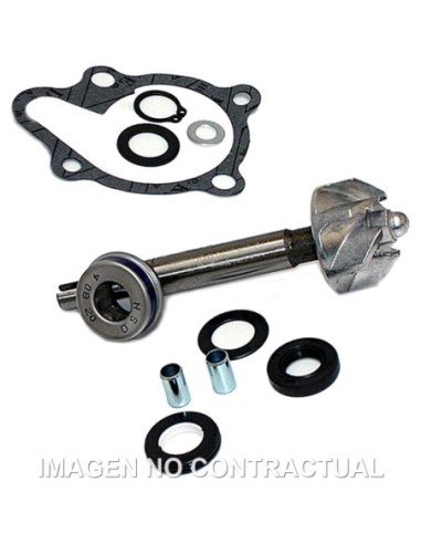 Kit Reparación Bomba De Agua Kymco Dink 125/200