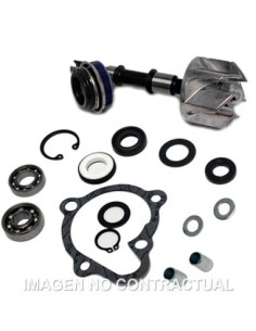 Kit Reparación Bomba De Agua Kymco Xciting 250