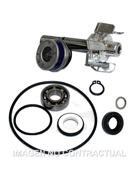 Kit Reparación Bomba De Agua T-Max 500 (01-03)
