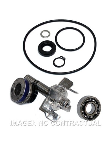 Kit Reparación Bomba De Agua T-Max 500 (04-11)