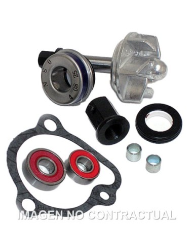 Kit Reparación Bomba De Agua Kymco Dink LC 50