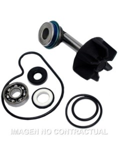 Kit Reparación Bomba De Agua Suzuki Burgman 250