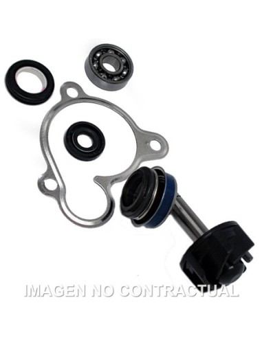 Kit Reparación Bomba De Agua Yamaha Majesty 250