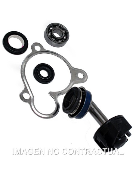 Kit Reparación Bomba De Agua Yamaha Majesty 250