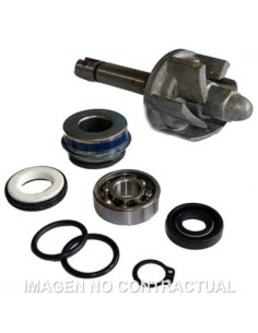 Kit Reparación Bomba De Agua Aprilia Leonardo 250