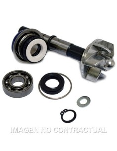 Kit Reparación Bomba De Agua Daelim S3
