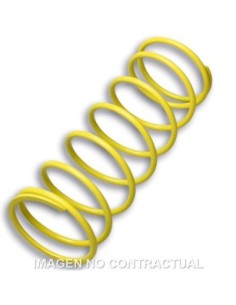 Muelle Polea Conducida Amarillo Foresight 250
