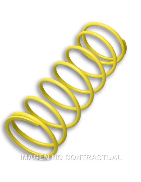 Muelle Polea Conducida Amarillo Foresight 250