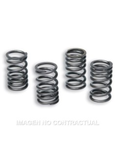 Muelles Embrague Original Motor AM6 TZR 50