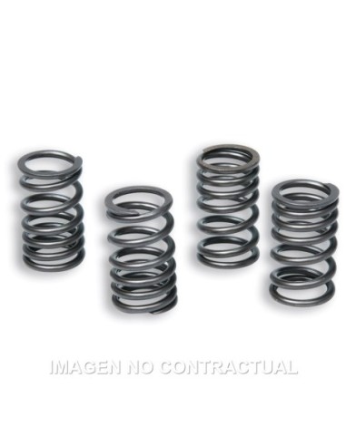 Muelles Embrague Original Motor AM6 TZR 50