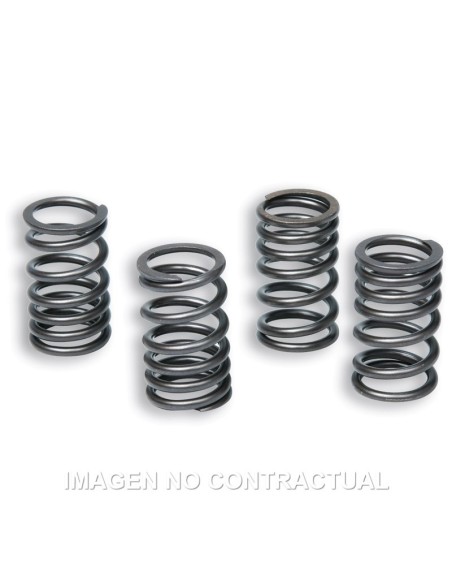 Muelles Embrague Original Motor AM6 TZR 50