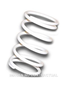 Muelle Polea Conducida Blanco Honda Silver Wing