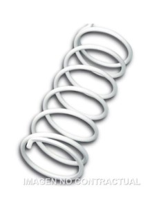 Muelle Polea Conducida Blanco Suzuki Burgman 125