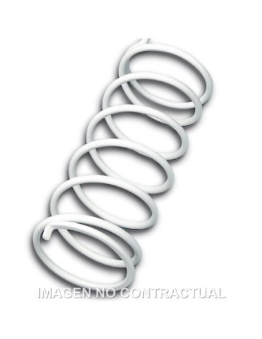 Muelle Polea Conducida Blanco Suzuki Burgman 125