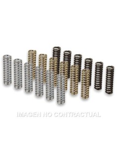 Muelles Embrague original Yamaha T-Max 530