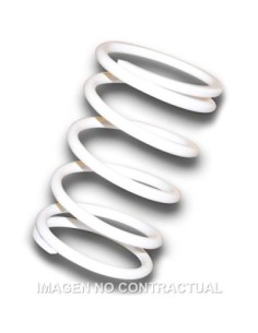 Muelle Polea Conducida blanco  Suzuki Burgman 400 K10
