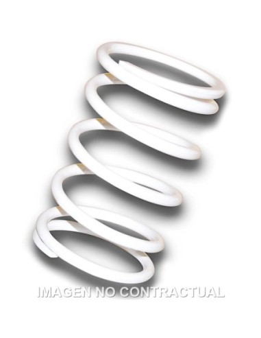 Muelle Polea Conducida blanco  Suzuki Burgman 400 K10