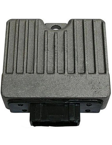 regulador 12v 14a 10a 5 fastons 04173142