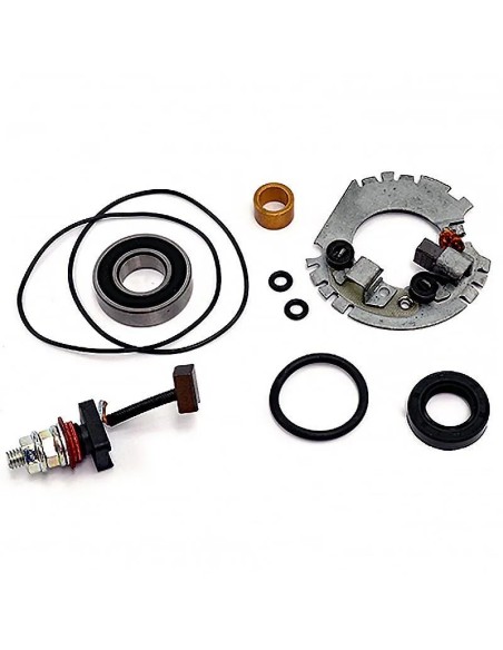 kit revision motor de arranque con portaescobillas 04178491