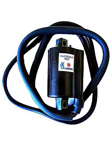 bobina 12v cc ohm 2 fastons con cable 110 04010557