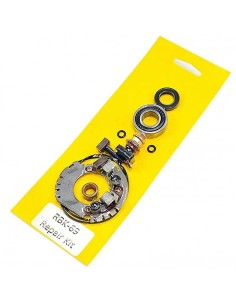 kit revision motor de arranque con portaescobillas 04178492