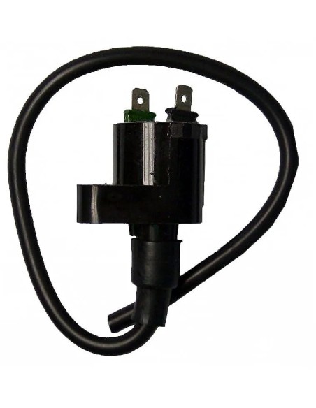 bobina 12v 0 30 ohm 2 fastons 04124741