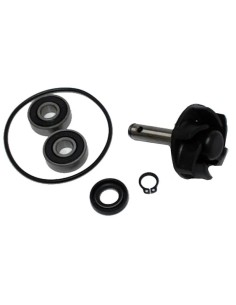 kit reparacion bomba de agua motor minarelli 50 37282001