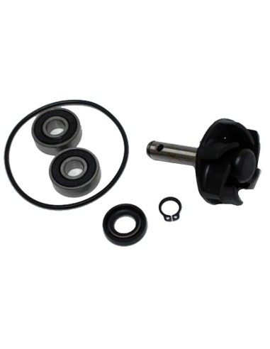 kit reparacion bomba de agua motor minarelli 50 37282001