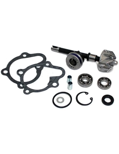 kit reparacion bomba de agua kymco byw 125 37282007