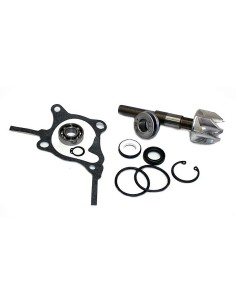 kit reparacion bomba de agua honda foresight 250 37282010