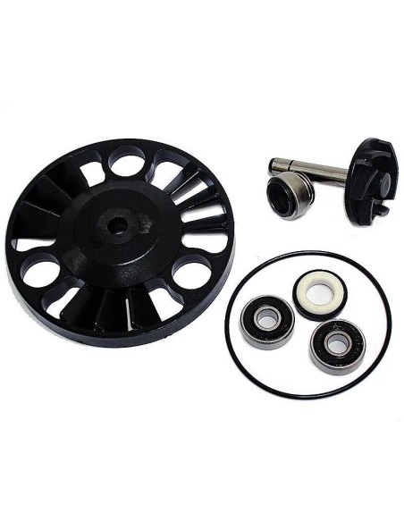 kit reparacion bomba de agua piaggio x9 180 200 37282013