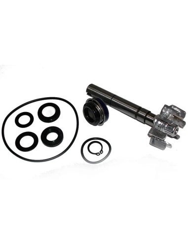 kit reparacion bomba de agua kymco xciting 500 37282016