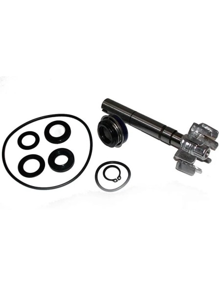 kit reparacion bomba de agua kymco xciting 500 37282016