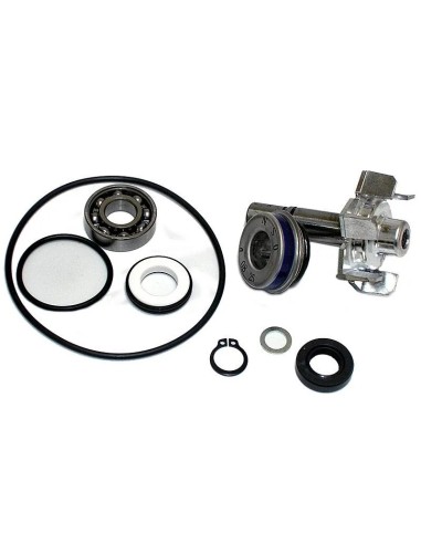 kit reparacion bomba de agua t max 500 01 03 37282017