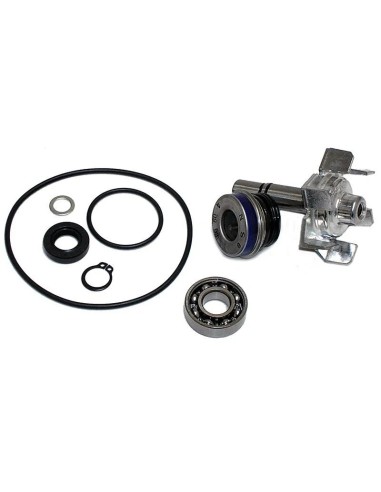 kit reparacion bomba de agua t max 500 04 11 37282018
