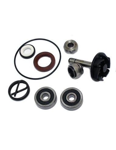 kit reparacion bomba de agua piaggio beverly 250 37282032
